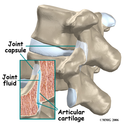 physical therapy in buffalo for pain care facet joint injections