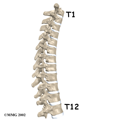 Physical Therapy In Cheyenne For Back Thoracic Disc Herniation