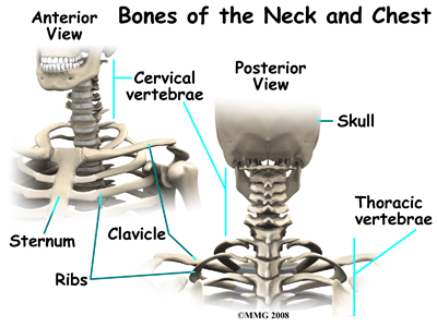 Physical Therapy In Colonia For Dropped Head Syndrome