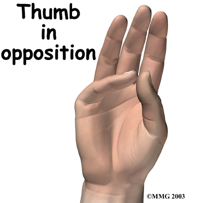 Physical Therapy in Ellenton for Hand - Carpal Tunnel Syndrome