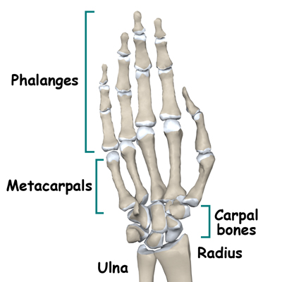 Physical Therapy in Forest Grove for Wrist Pain - Fractures