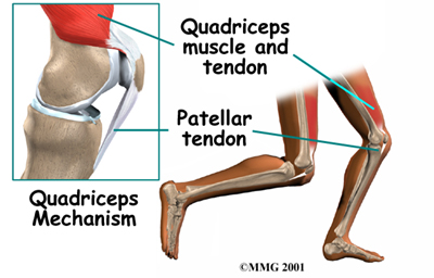 Physical Therapy in Forest Grove for Knee - Patellofemoral Problems