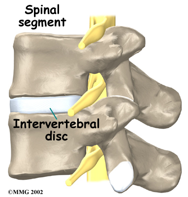 Low Back Pain