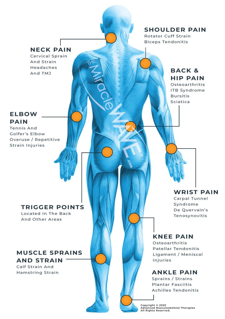 What is miracle muscle