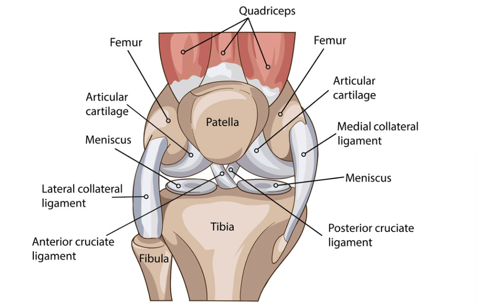 FYZICAL Lubbock: Back Pain