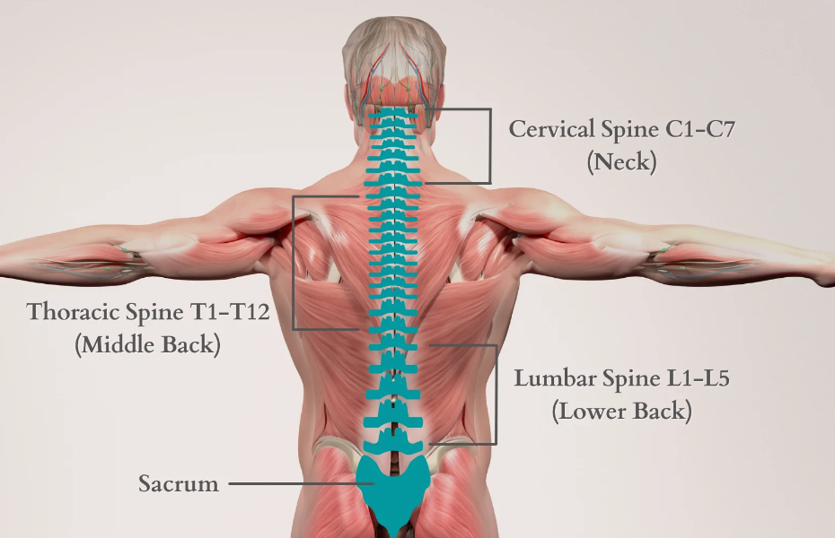 FYZICAL Lubbock: Back Pain