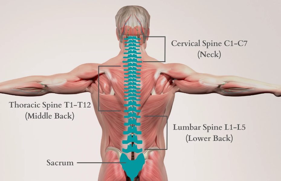 Low Back Pain