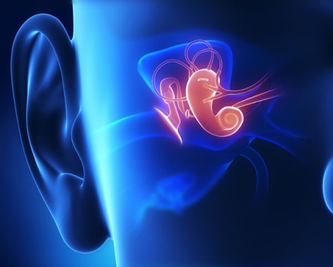 Vestibular Rehab