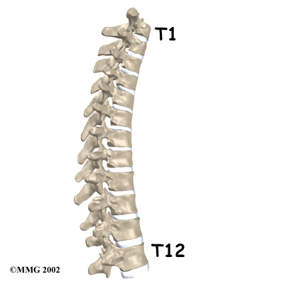 Physical Therapy In Morgantown For Back Thoracic Disc Herniation