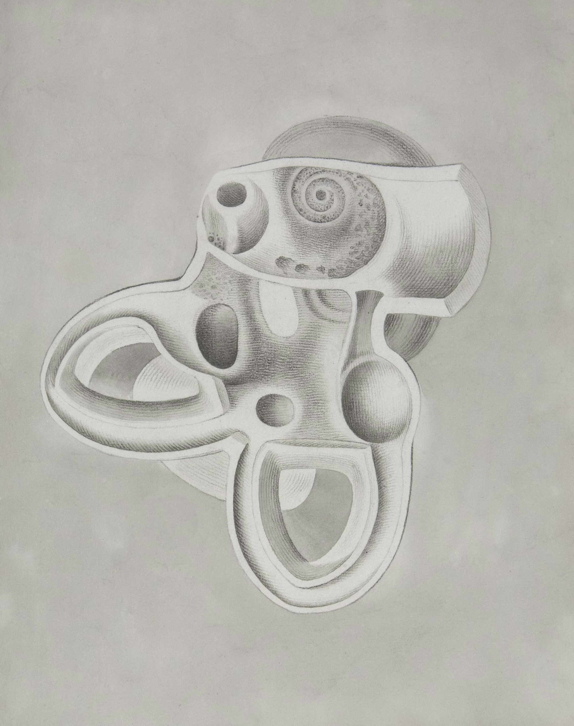 Black and white pencil drawing of the inner ear labyrinth, illustrating the intricate structures responsible for balance and spatial orientation. Ideal visual aid for understanding the complexity of labyrinthitis.