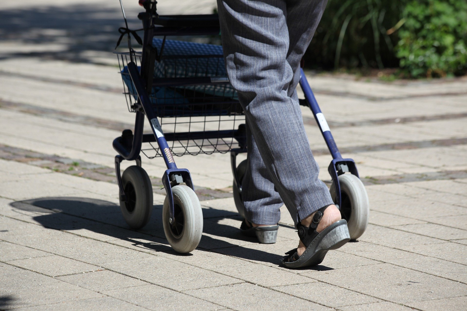 An impaired gait increases the risk of falling. Using a cane or walker predicts your increased risk of falling.