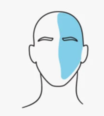 Understanding Headaches: Types, Triggers, and Treatments | Fyzical Orchard