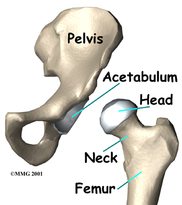 Physio Health