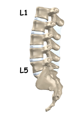 The importance of good posture