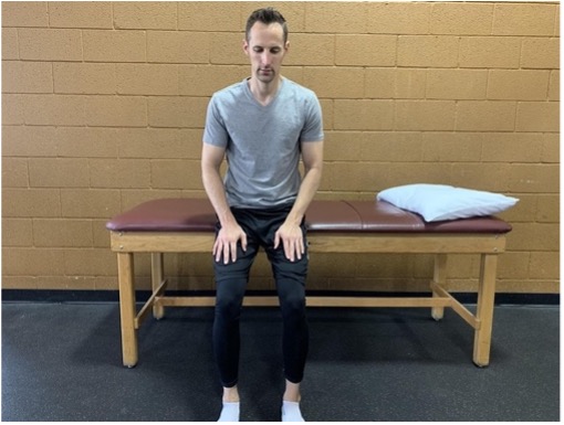 physical therapy services
