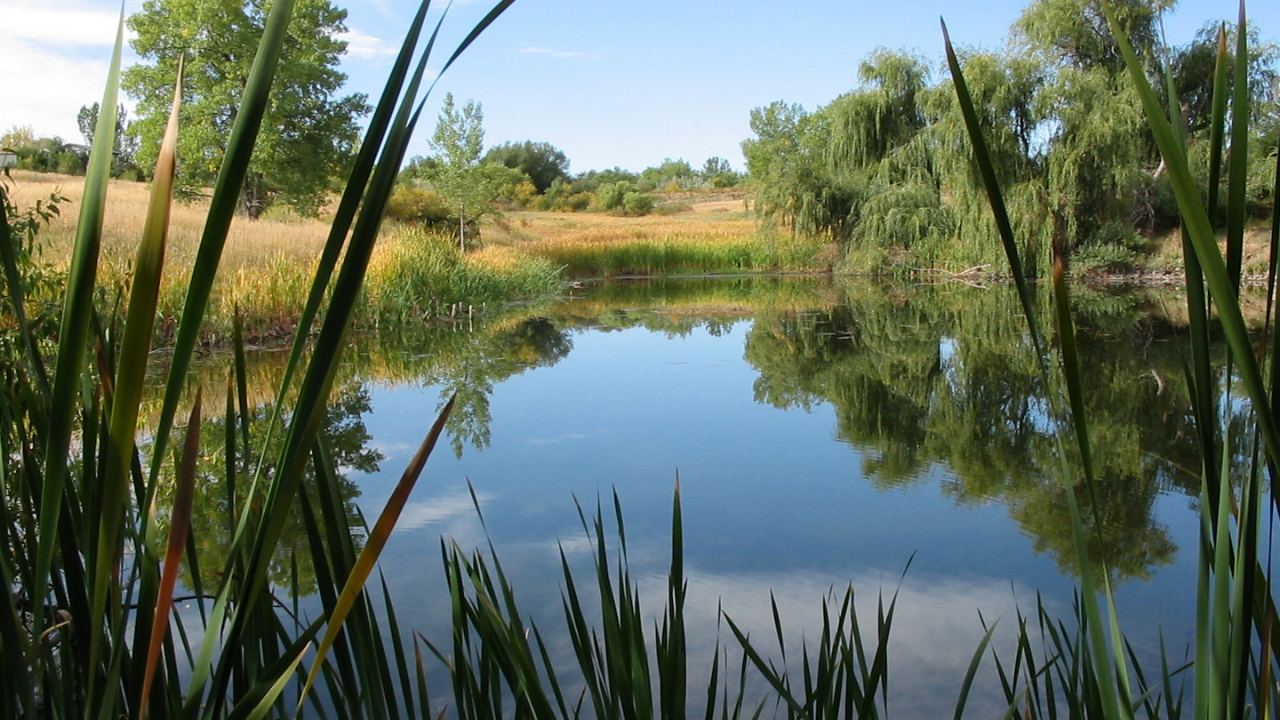 Local Insight: Top Places to Hike in Westminster, CO This Fall